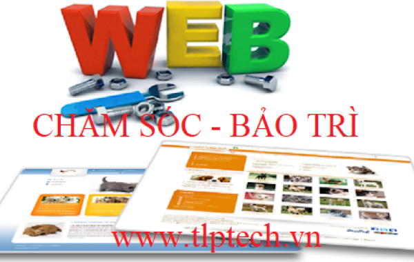 Tại sao cần phải chăm sóc, bảo trì và nâng cấp website.