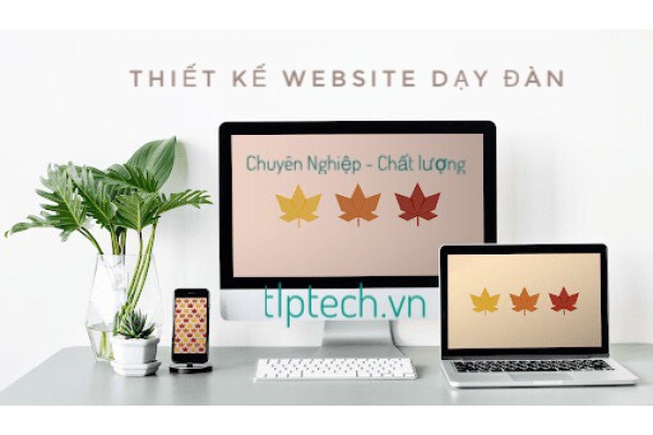 Thiết kế website dạy học đàn uy tín - chuyên nghiệp tại TLPtech - TP.Hồ Chí Minh