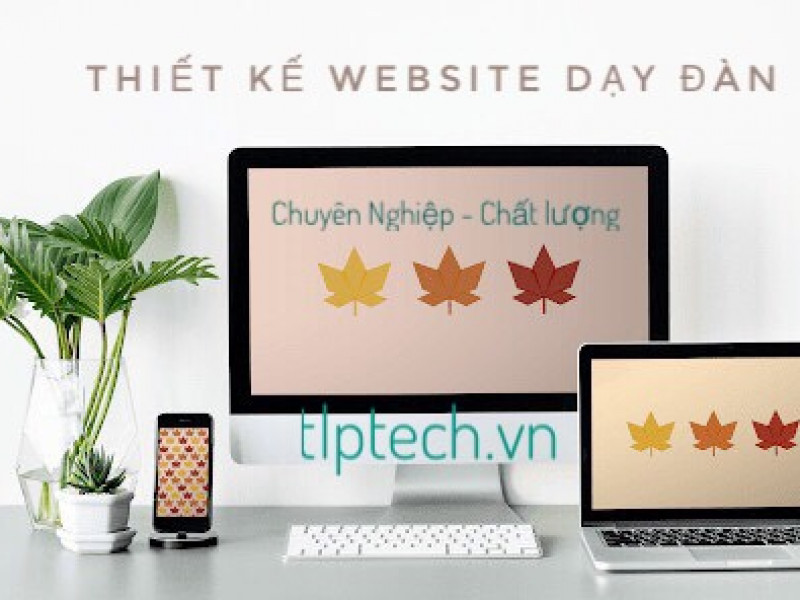 Thiết kế website dạy học đàn uy tín - chuyên nghiệp tại TLPtech - TP.Hồ Chí Minh