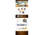 Thiết kế web sơn Maxxs Paint